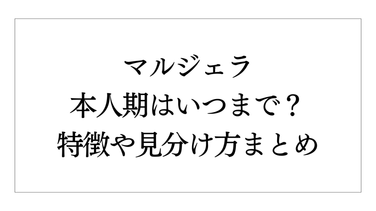マルジェラ 本人期はいつまで？特徴や見分け方まとめ | Elegance&Glam